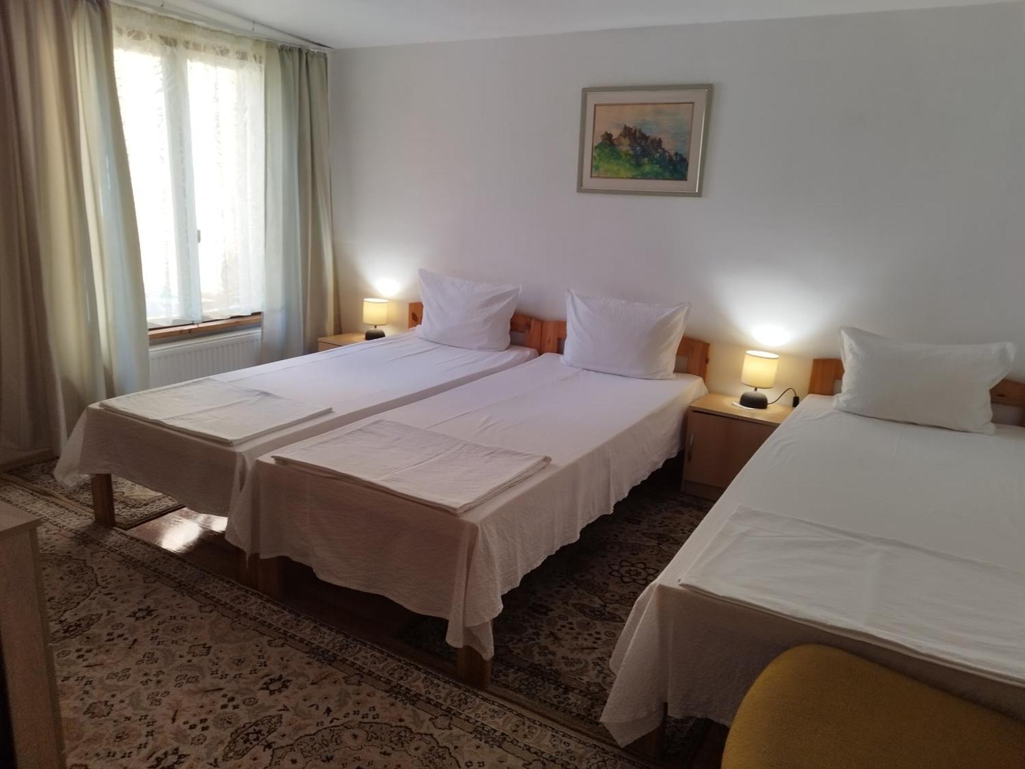 בלוגראדצ'יק Villa Jun Guest House מראה חיצוני תמונה