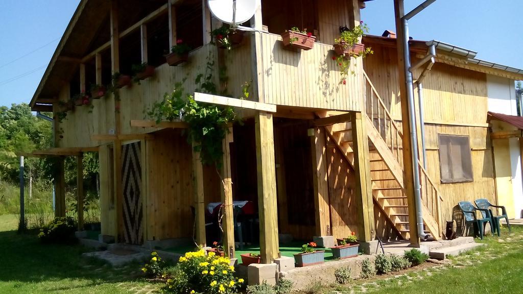 בלוגראדצ'יק Villa Jun Guest House מראה חיצוני תמונה
